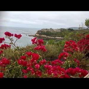 Meet your Posher, Cece